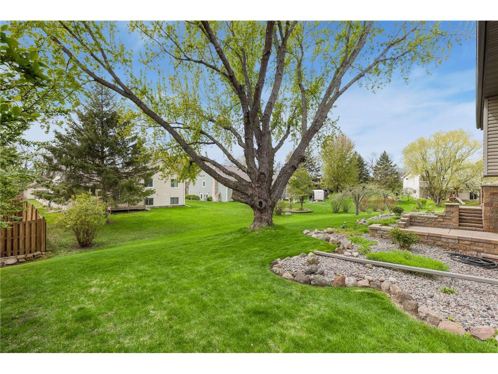 5679 Erik Lane Shoreview MN 55126 7069887 image33