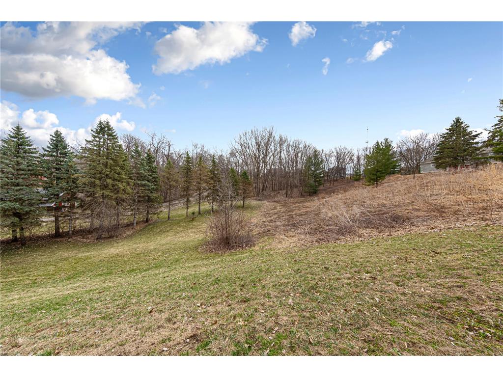 5680 Endwood Trail Northfield MN 55057 7032373 image59