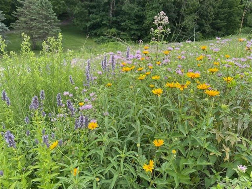 5680 Endwood Trail Northfield MN 55057 7032373 image72