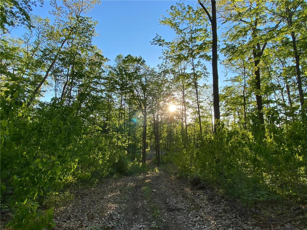 56872 Rutabaga Road Fleming Twp MN 55704 6373231 image1