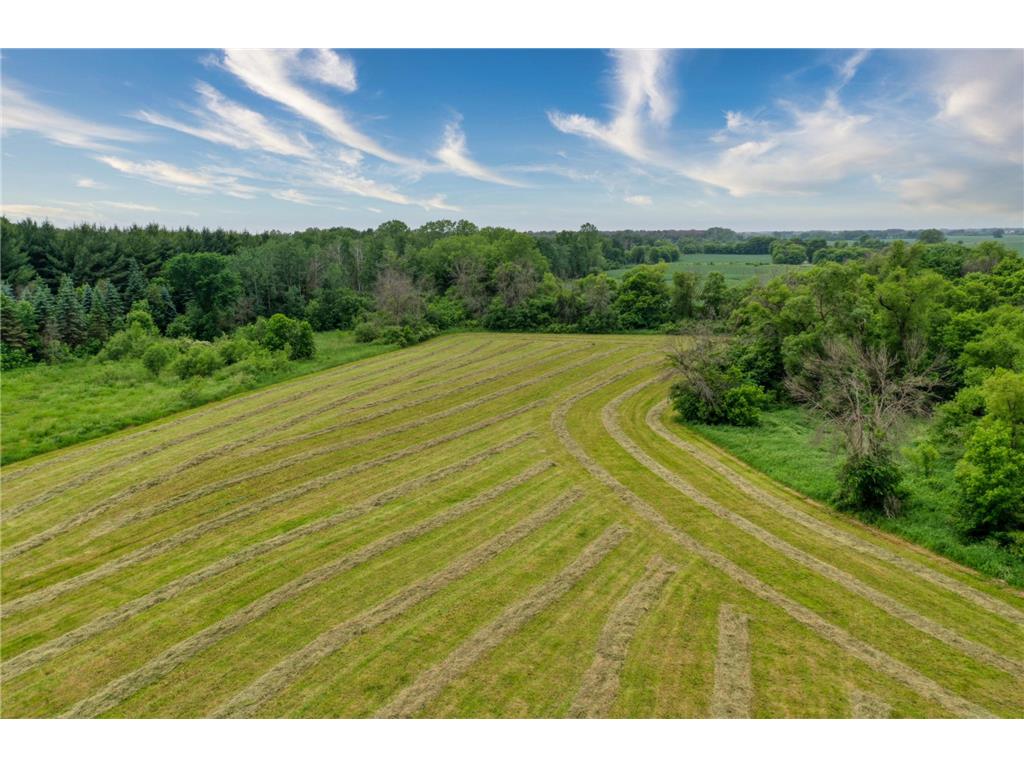 5696 170th Street N Hugo MN 55038 7052932 image36