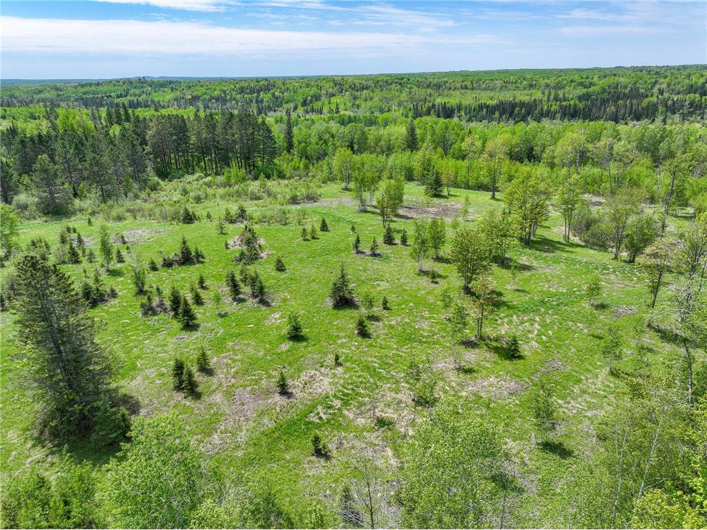 56xa Hwy 7 Culver MN 55779 7084908 image9