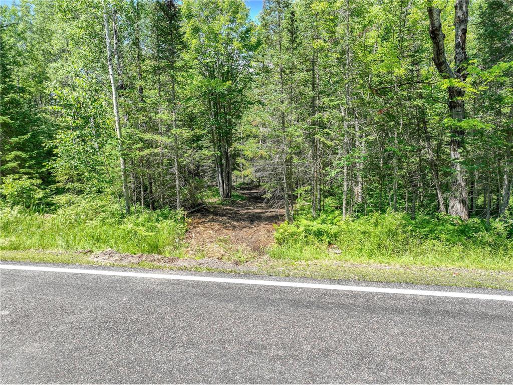 56xb Hwy 7 Culver MN 55779 7105174 image5