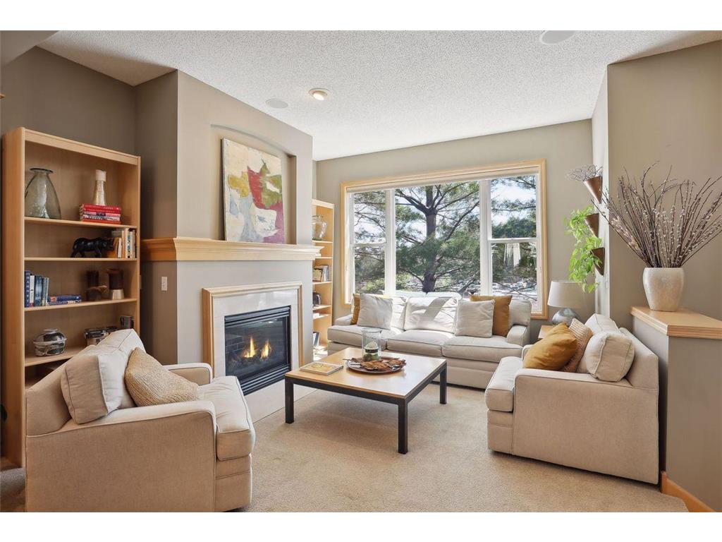 57 4th Avenue N #103 Minneapolis MN 55401 6358921 image1