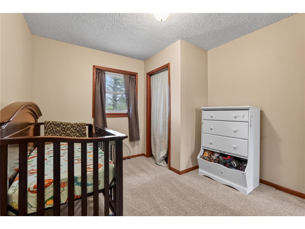 57042 & 57046 160th Avenue Concord Twp MN 55985 7076324 image19
