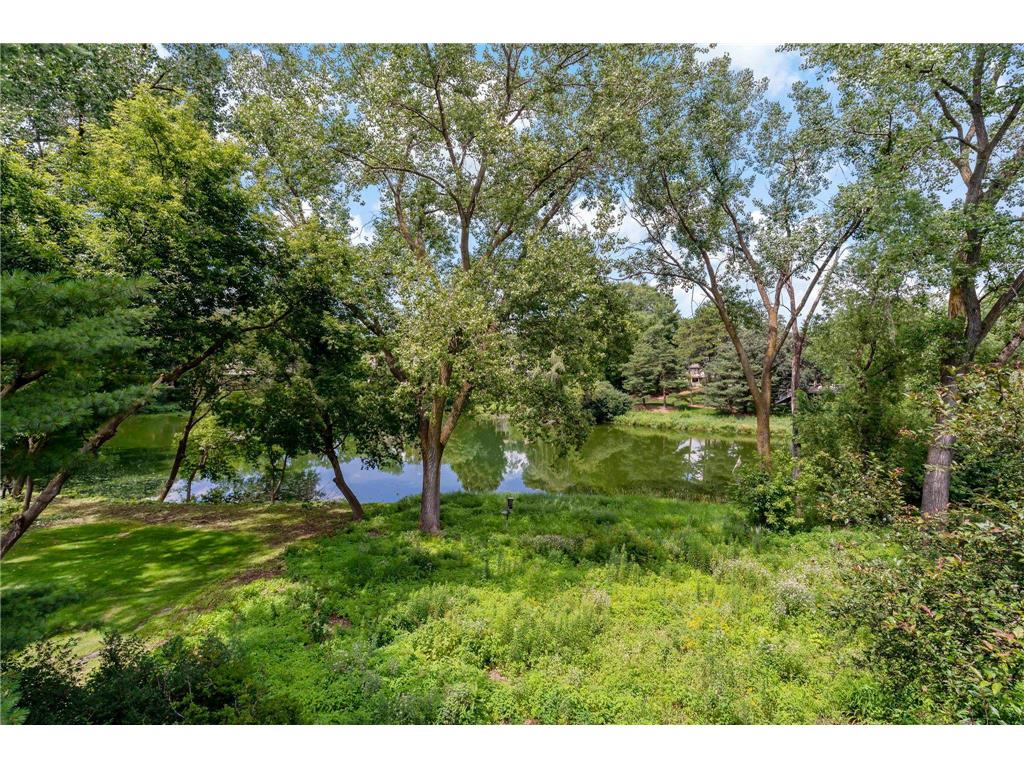 5708 Long Brake Trail Edina MN 55439 7094518 image19