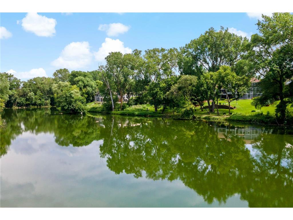 5708 Long Brake Trail Edina MN 55439 7094518 image67