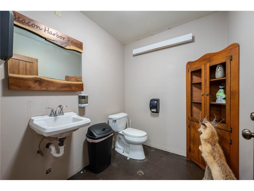 57153 Hudec Resort Road NE Waskish MN 56685 - Red 6799852 image81