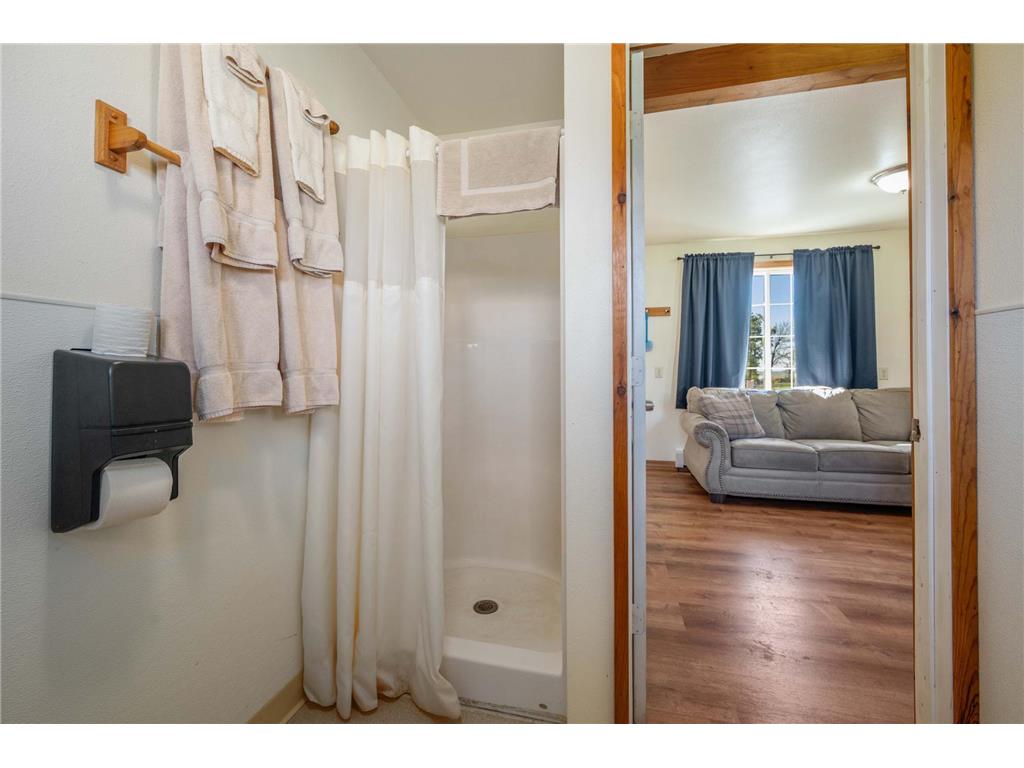 57153 Hudec Resort Road NE Waskish MN 56685 - Red 6799852 image83