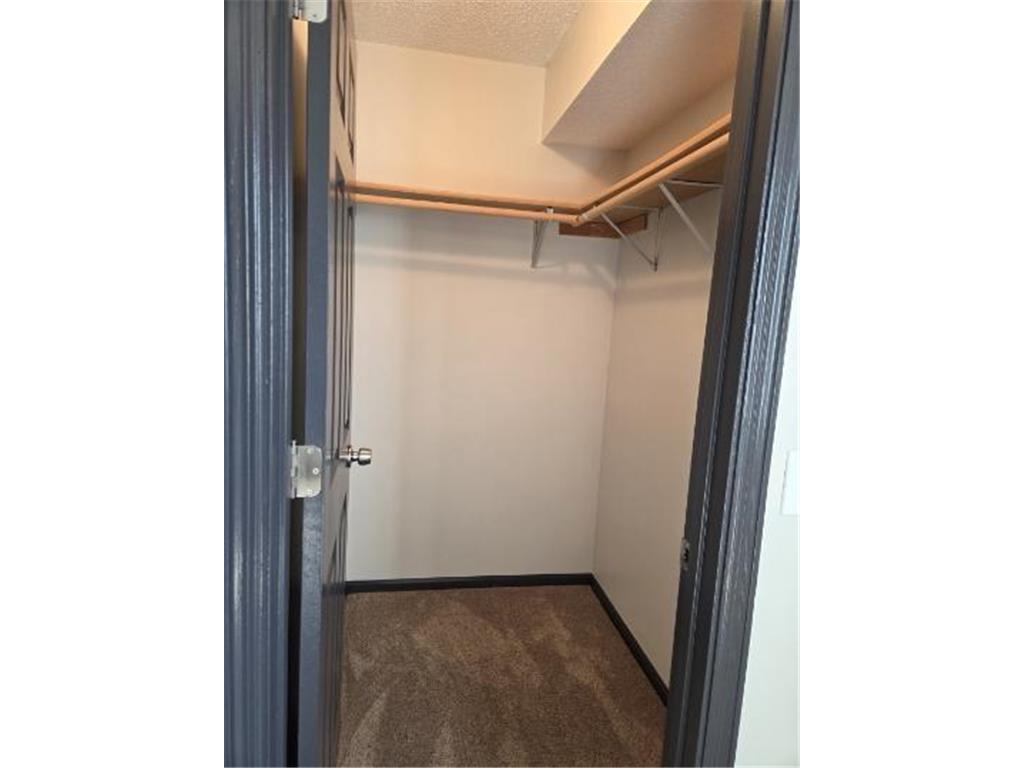 5726 Egret Avenue Big Lake MN 55309 7076989 image14