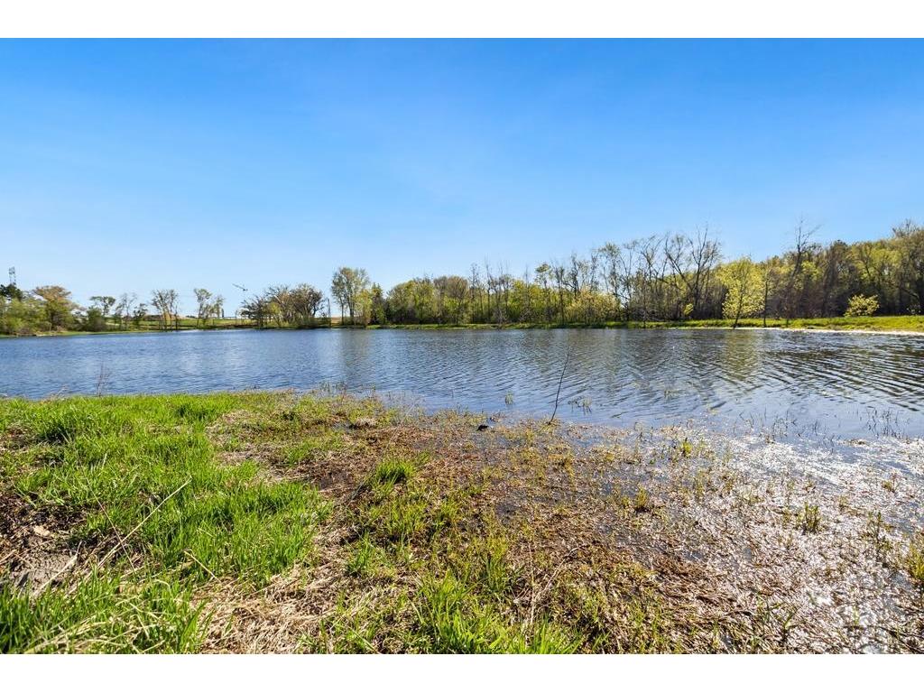 5729 Linden Avenue N Lake Elmo MN 55042 7079282 image71