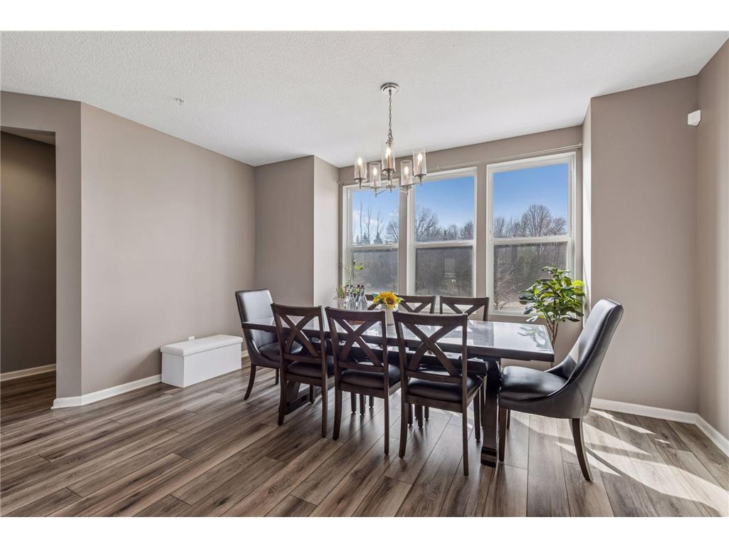573 Satori Way Chaska MN 55318 7035753 image20