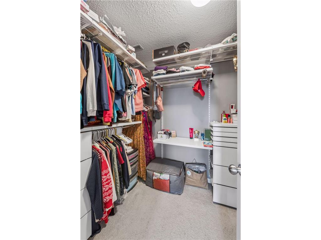 573 Satori Way Chaska MN 55318 7035753 image26