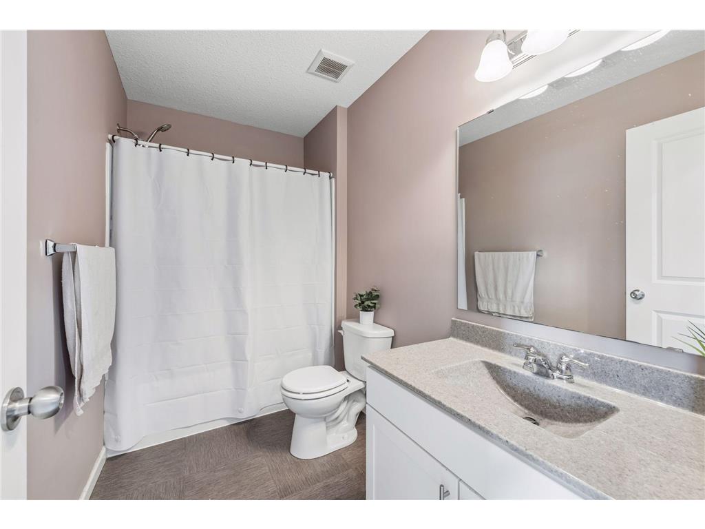 573 Satori Way Chaska MN 55318 7035753 image29