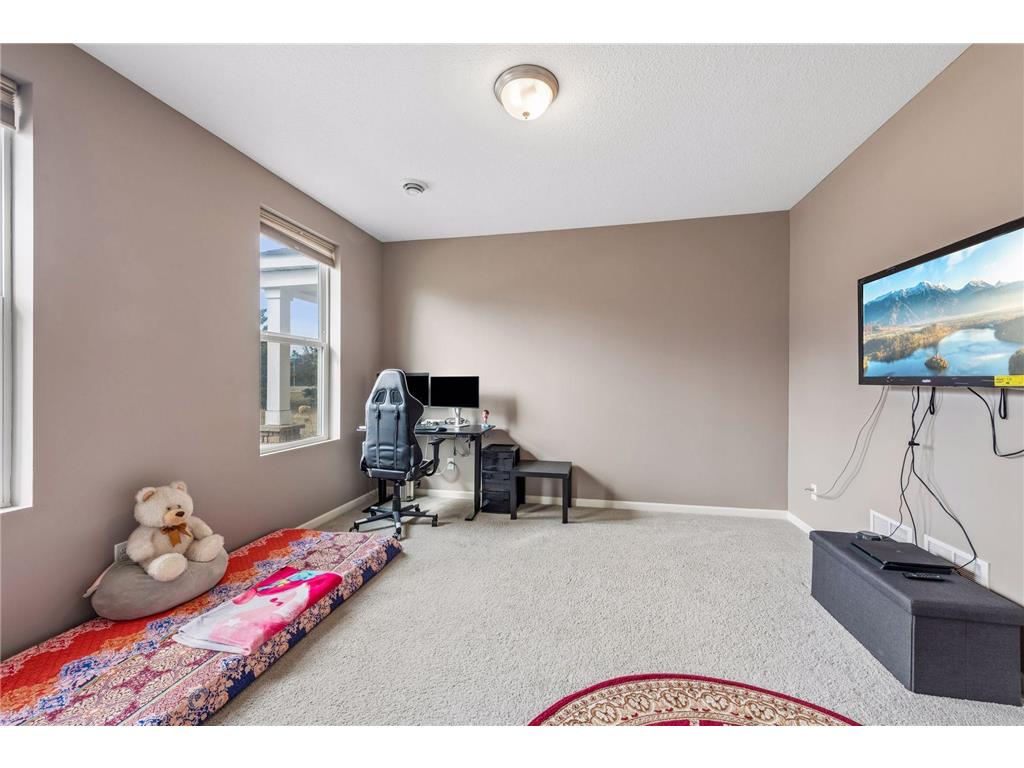 573 Satori Way Chaska MN 55318 7035753 image7