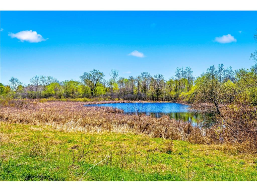 5734 Otter View Trail #18 White Bear Twp MN 55110 7048981 image22