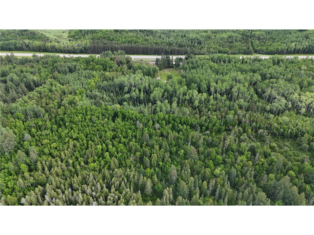 5741 Highway 53 Ray MN 56669 6580553 image11