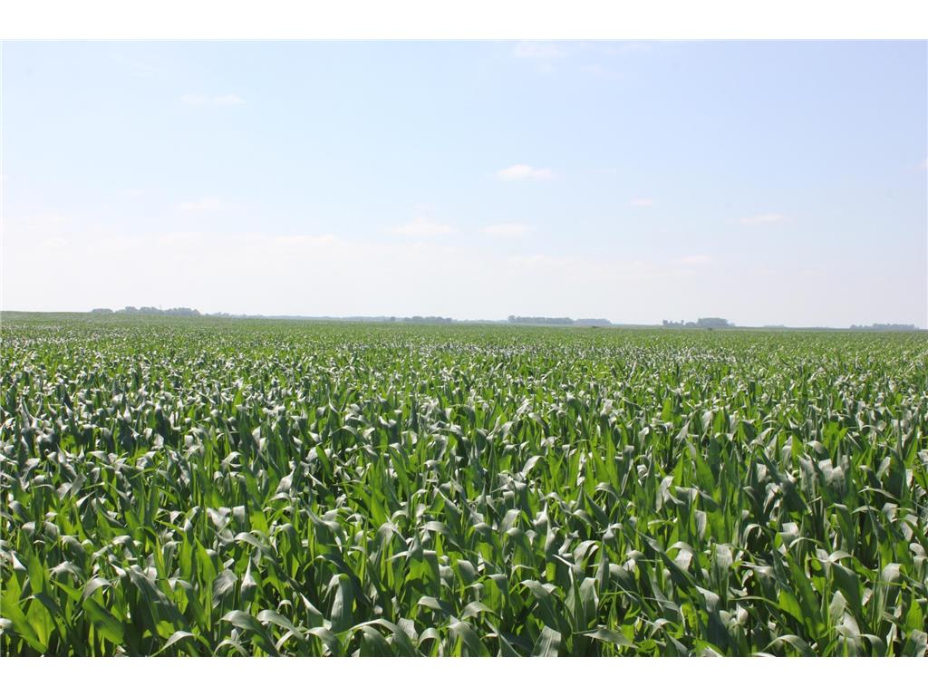 575 80th Street SE Cashel Twp MN 56271 6400872 image1