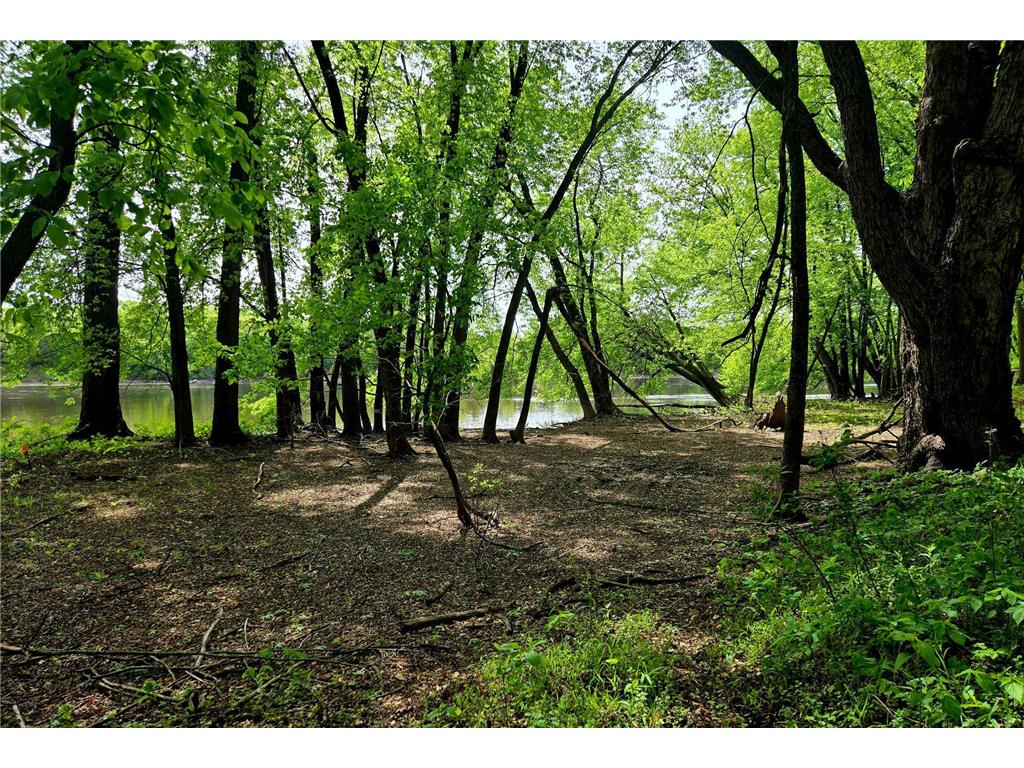 5751 16th Avenue SE Haven Twp MN 56304 - Mississippi 6678199 image4