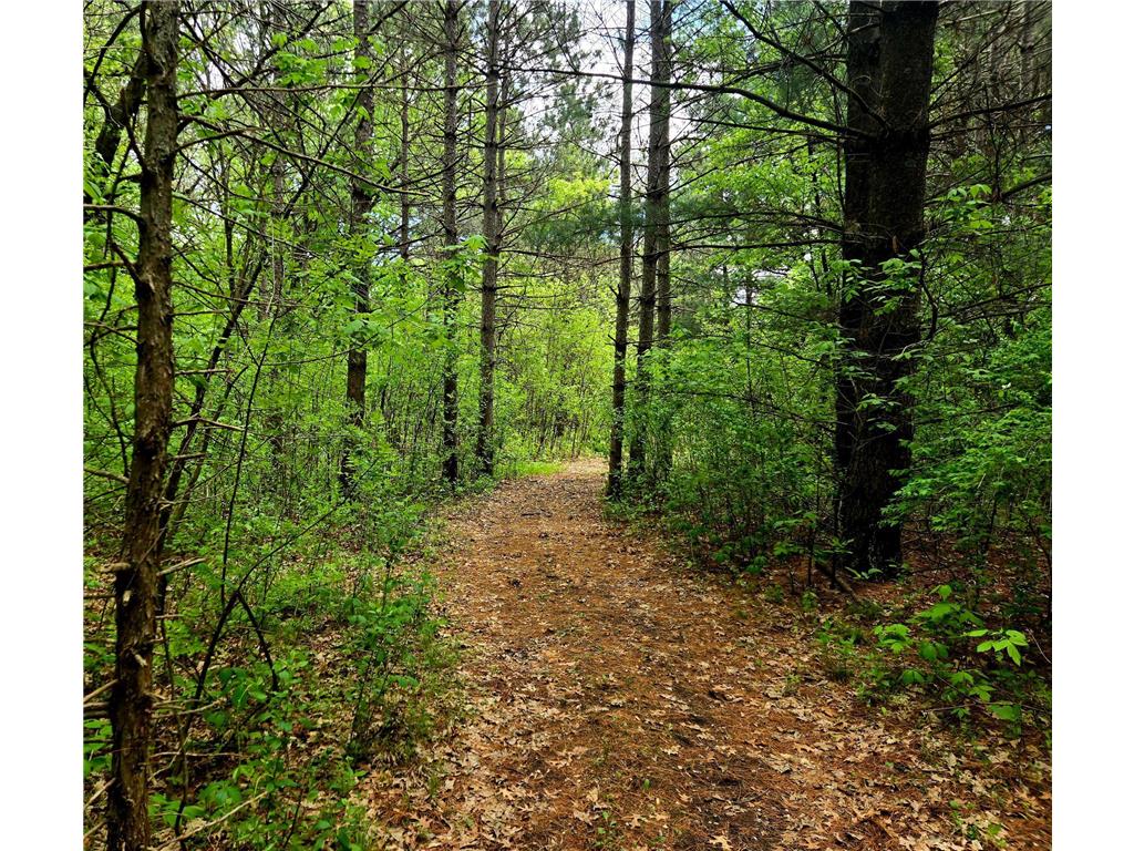 5751 16th Avenue SE Haven Twp MN 56304 - Mississippi 6678199 image5