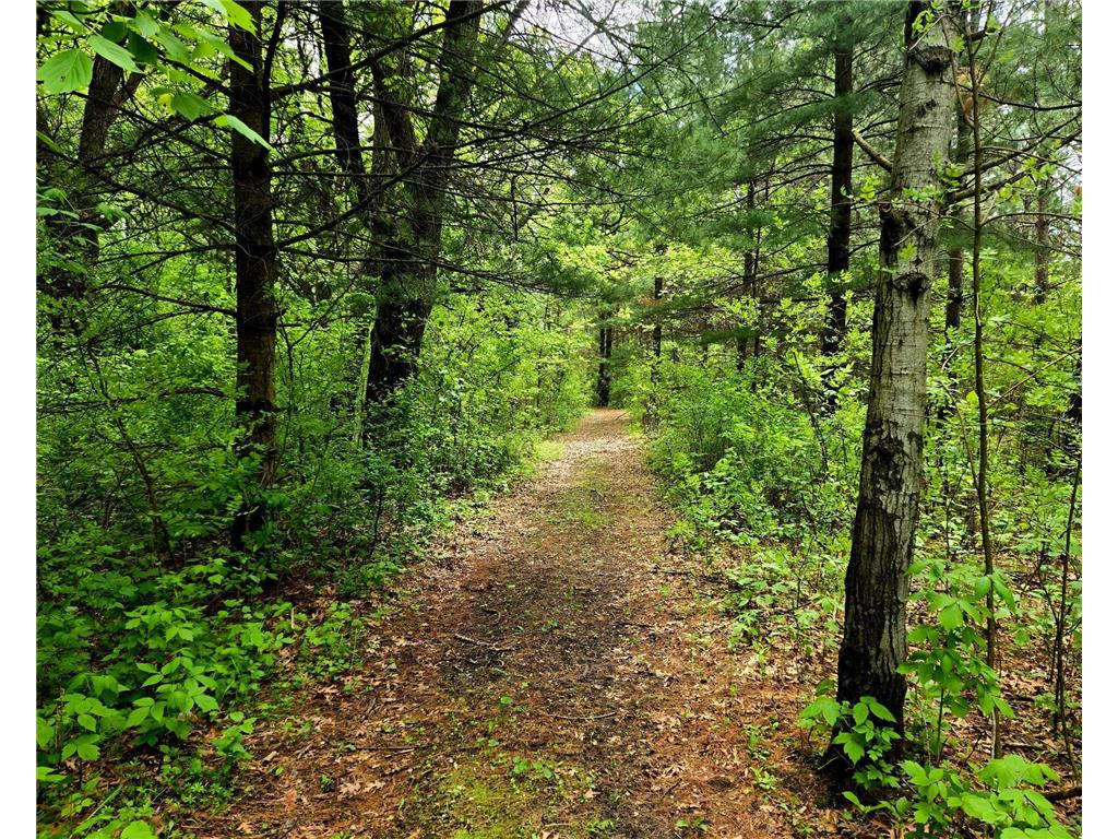 5751 16th Avenue SE Haven Twp MN 56304 - Mississippi 6678199 image55