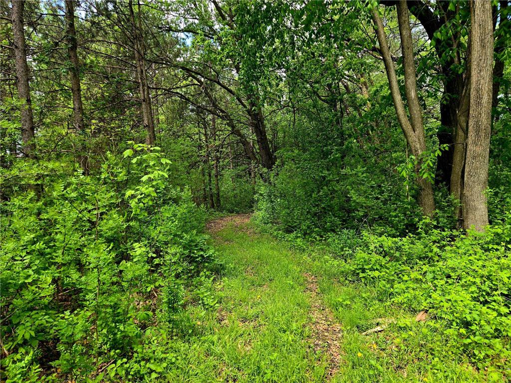 5751 16th Avenue SE Haven Twp MN 56304 - Mississippi 6678199 image56