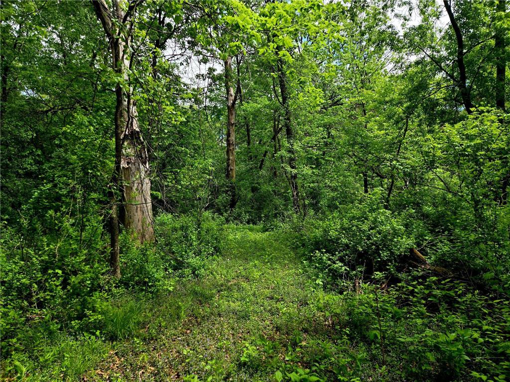 5751 16th Avenue SE Haven Twp MN 56304 - Mississippi 6678199 image57