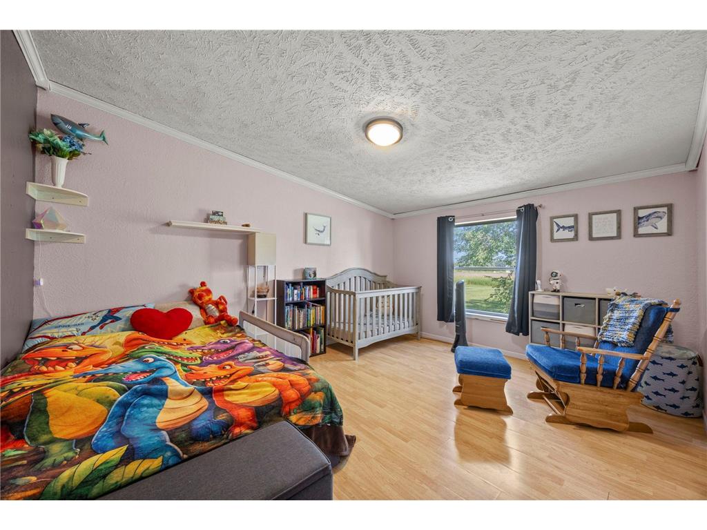 57526 Government Road Pine City MN 55063 7091136 image29