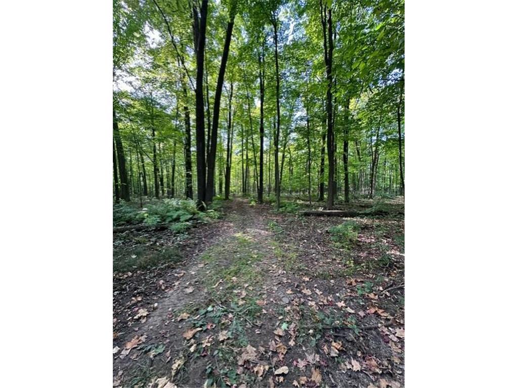 57538 Maple Avenue Rock Creek MN 55063 6617729 image1