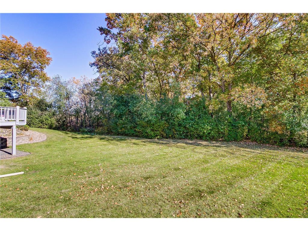 5754 Pond Drive Shoreview MN 55126 7062146 image46