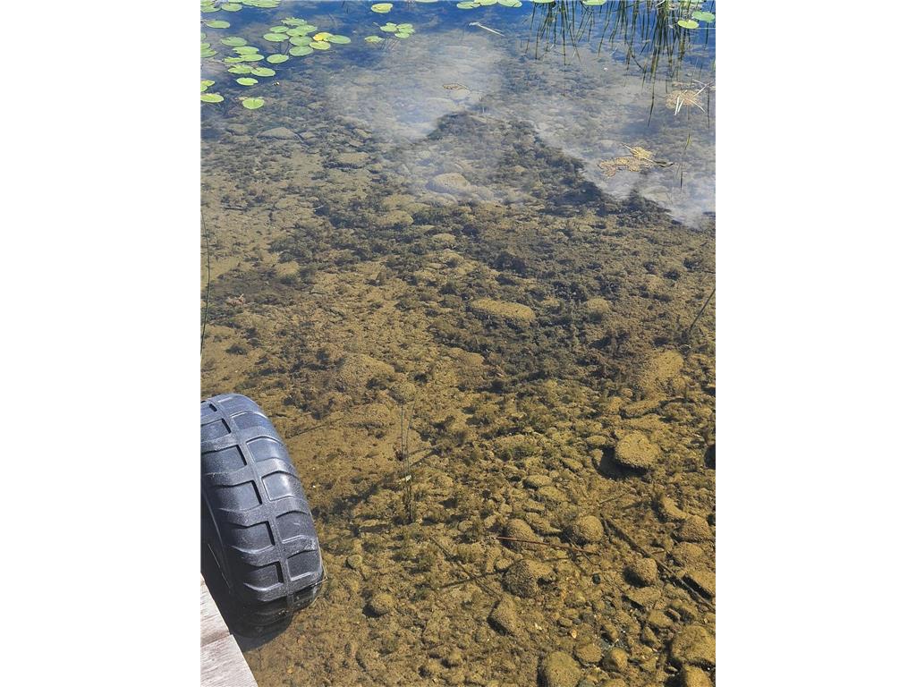 576 Pine Mountain Lake Road NW Deerfield Twp MN 56435 - Pine Mountain 6752409 image7