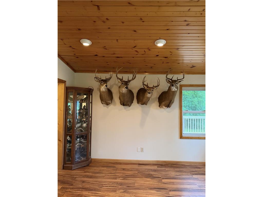 57625 226th Street Litchfield MN 55355 7084178 image12