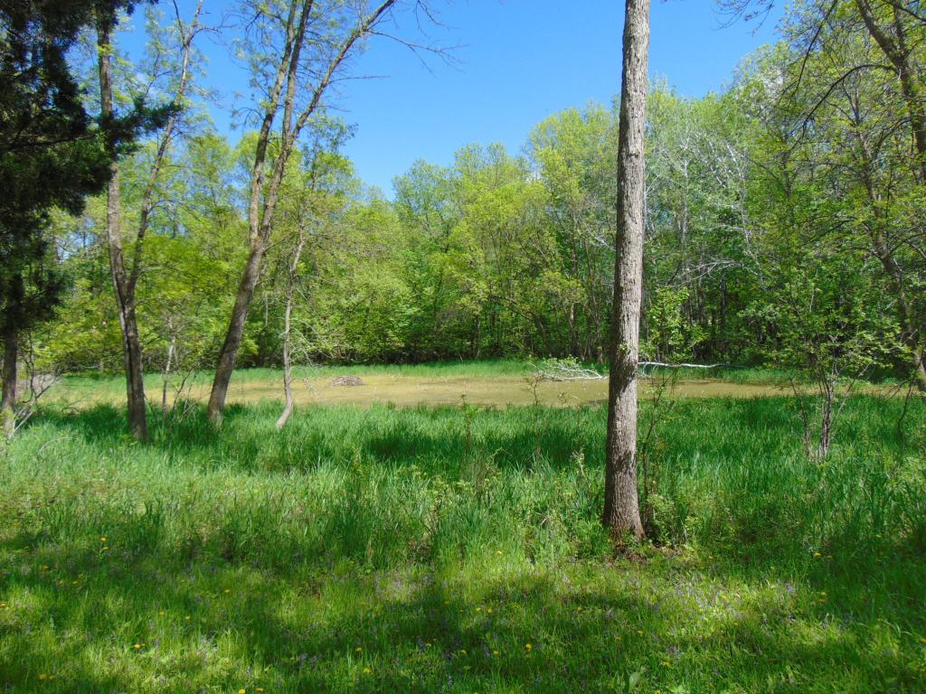 57625 226th Street Litchfield MN 55355 7084178 image24