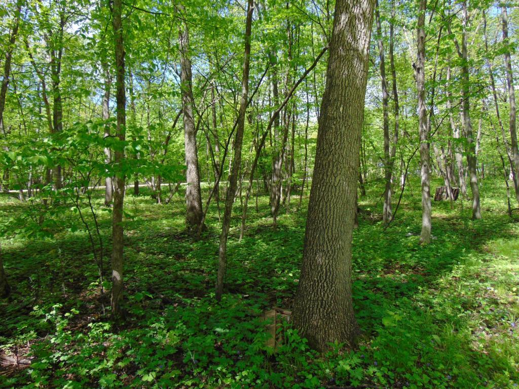57625 226th Street Litchfield MN 55355 7084178 image26