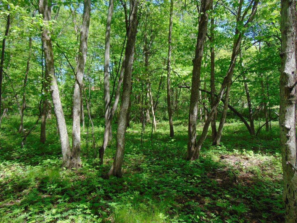 57625 226th Street Litchfield MN 55355 7084178 image27