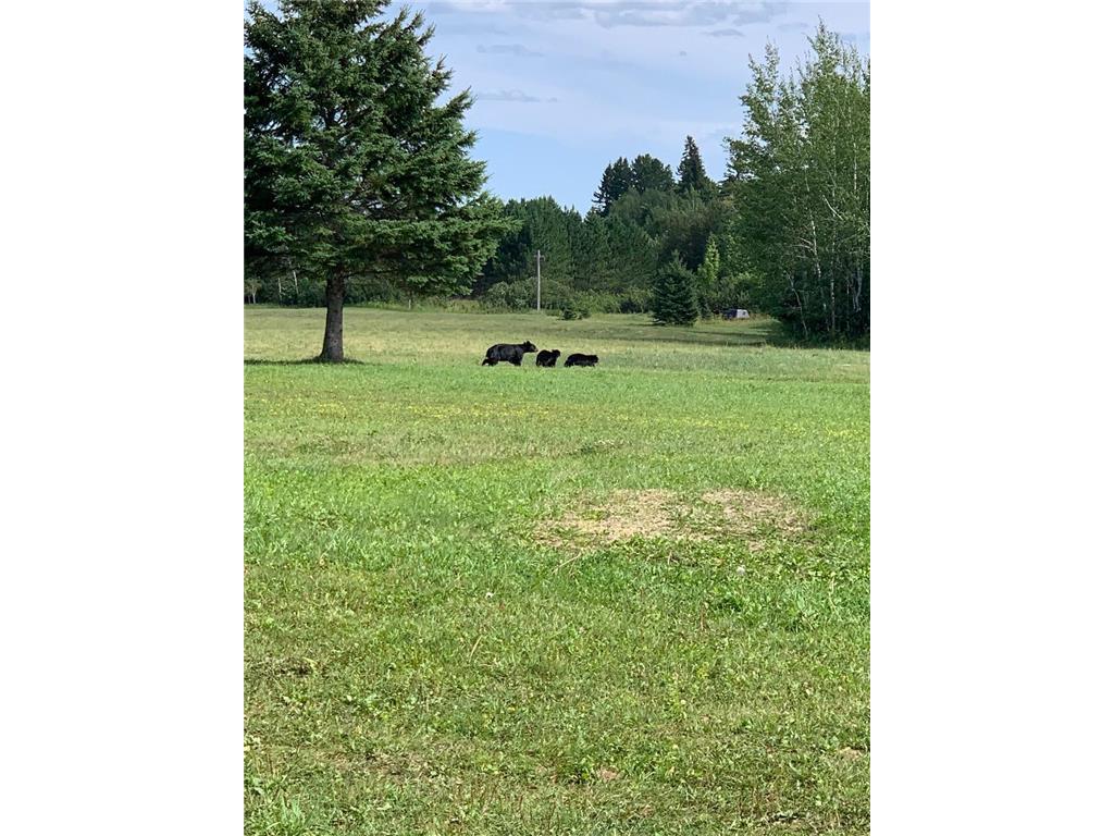 5773 Town Road 237 Littlefork MN 56653 - Little Fork River 7114931 image49