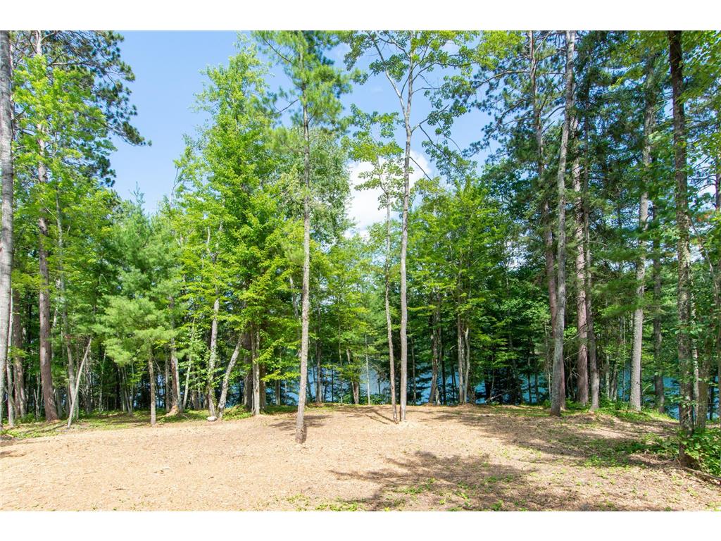 5778 S Bass Lake Road NE Thunder Lake Twp MN 56662 - Coffin 7113347 image28