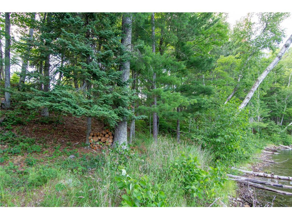 5778 S Bass Lake Road NE Thunder Lake Twp MN 56662 - Coffin 7113347 image30