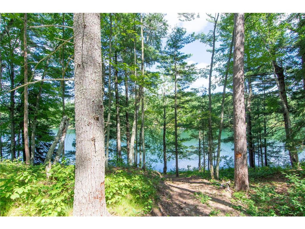 5778 S Bass Lake Road NE Thunder Lake Twp MN 56662 - Coffin 7113347 image33