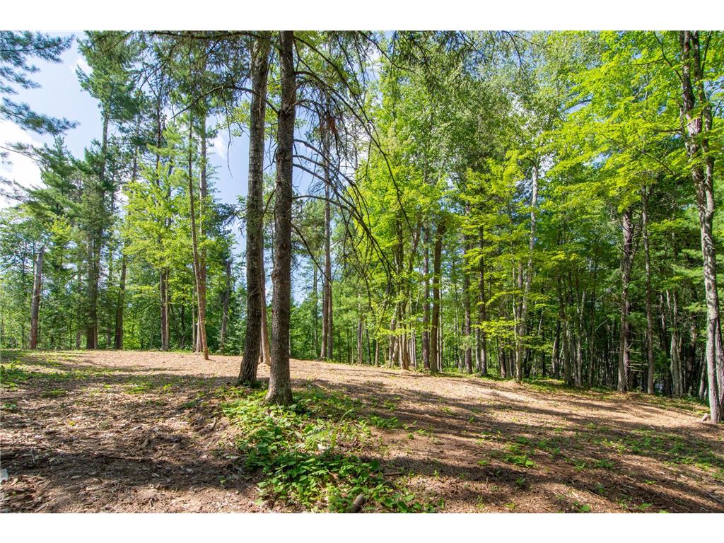 5778 S Bass Lake Road NE Thunder Lake Twp MN 56662 - Coffin 7113347 image34