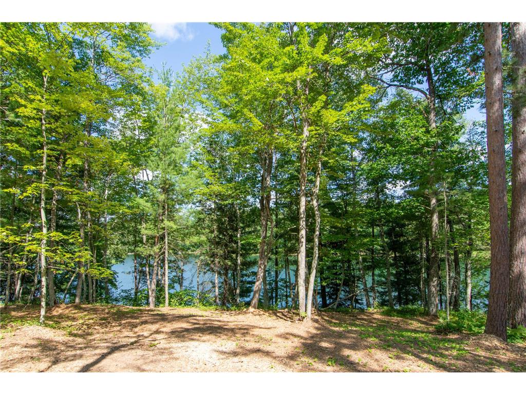 5778 S Bass Lake Road NE Thunder Lake Twp MN 56662 - Coffin 7113347 image35
