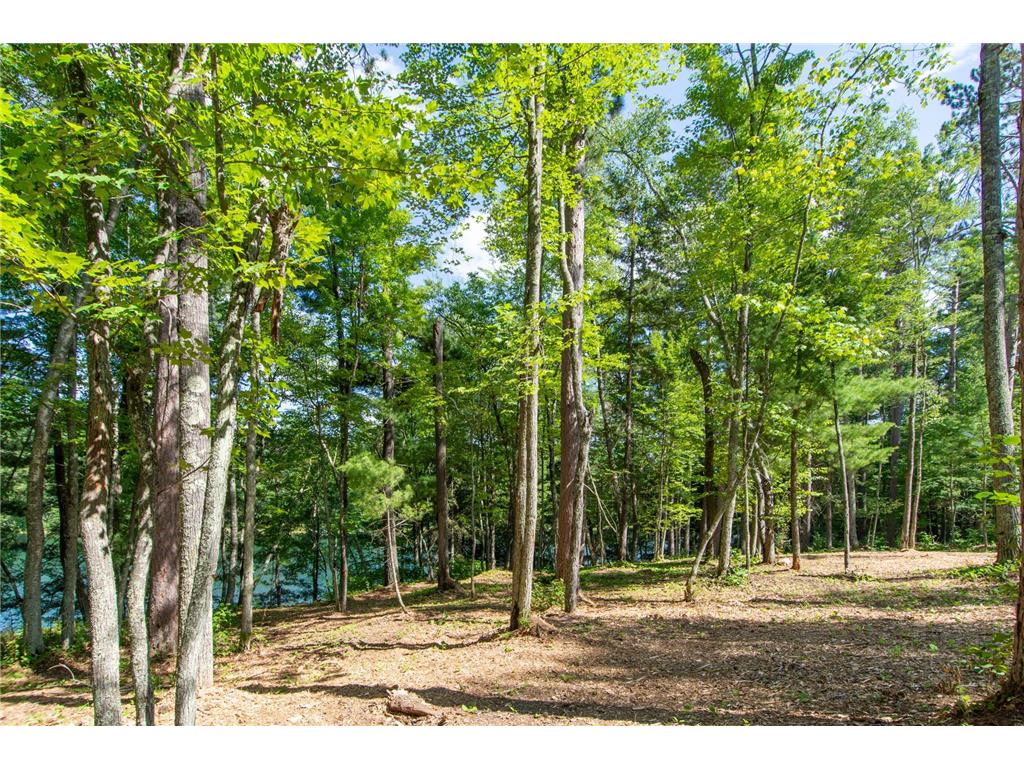 5778 S Bass Lake Road NE Thunder Lake Twp MN 56662 - Coffin 7113347 image36