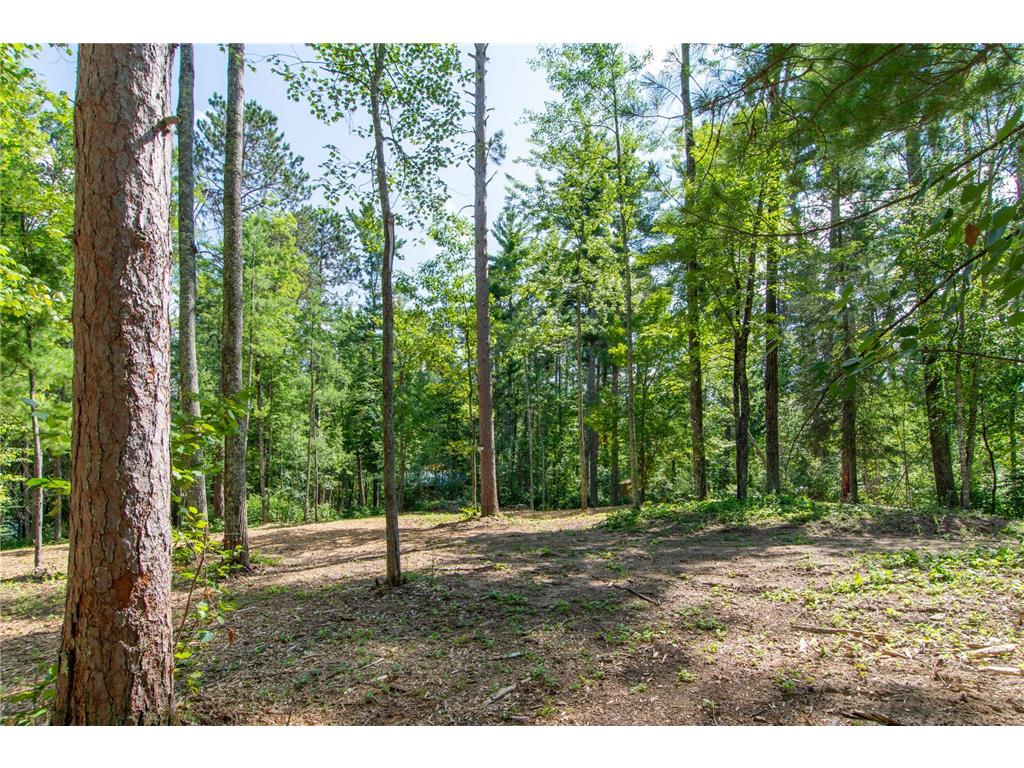 5778 S Bass Lake Road NE Thunder Lake Twp MN 56662 - Coffin 7113347 image37