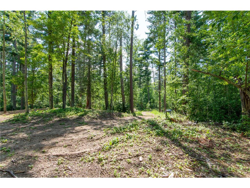 5778 S Bass Lake Road NE Thunder Lake Twp MN 56662 - Coffin 7113347 image38