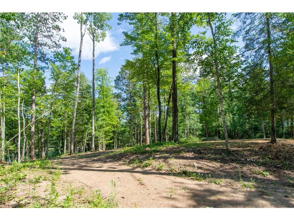 5778 S Bass Lake Road NE Thunder Lake Twp MN 56662 - Coffin 7113347 image39