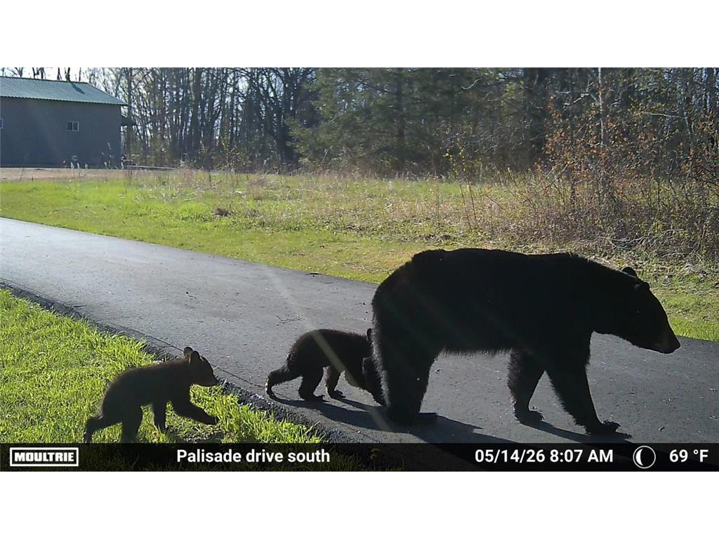 57800 Great River Rd Road Libby Twp MN 56469 - Mississippi 7090240 image77