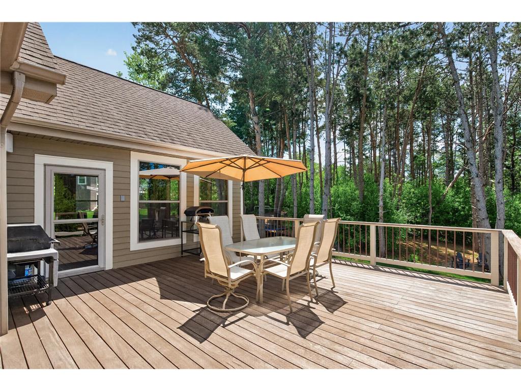 5784 Lily Avenue N Lake Elmo MN 55042 7077959 image29