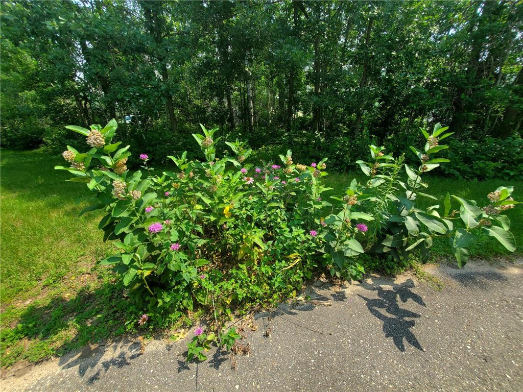 5786 Midvalley Lane NW Grant Valley Twp MN 56601 7099258 image31