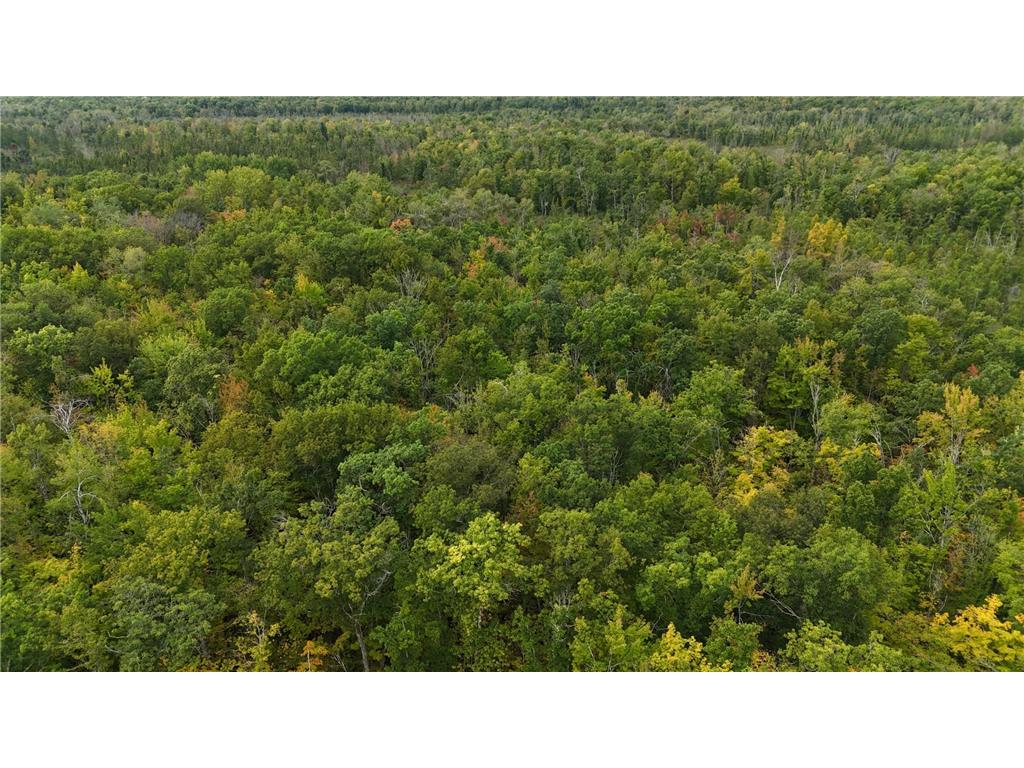 57919 Hay Creek Road Sandstone MN 55072 7042114 image31
