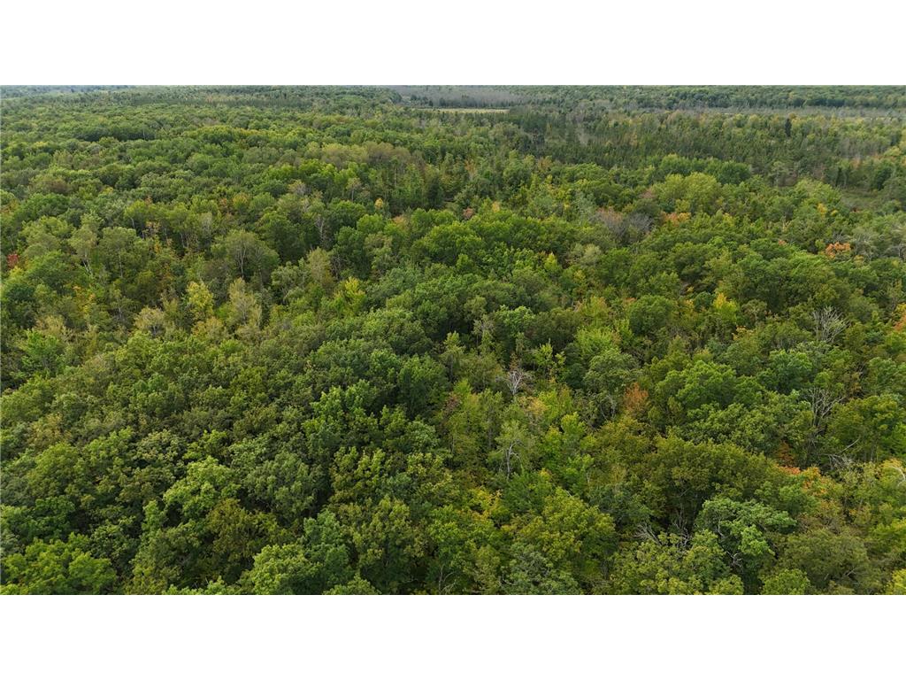 57919 Hay Creek Road Sandstone MN 55072 7042114 image33